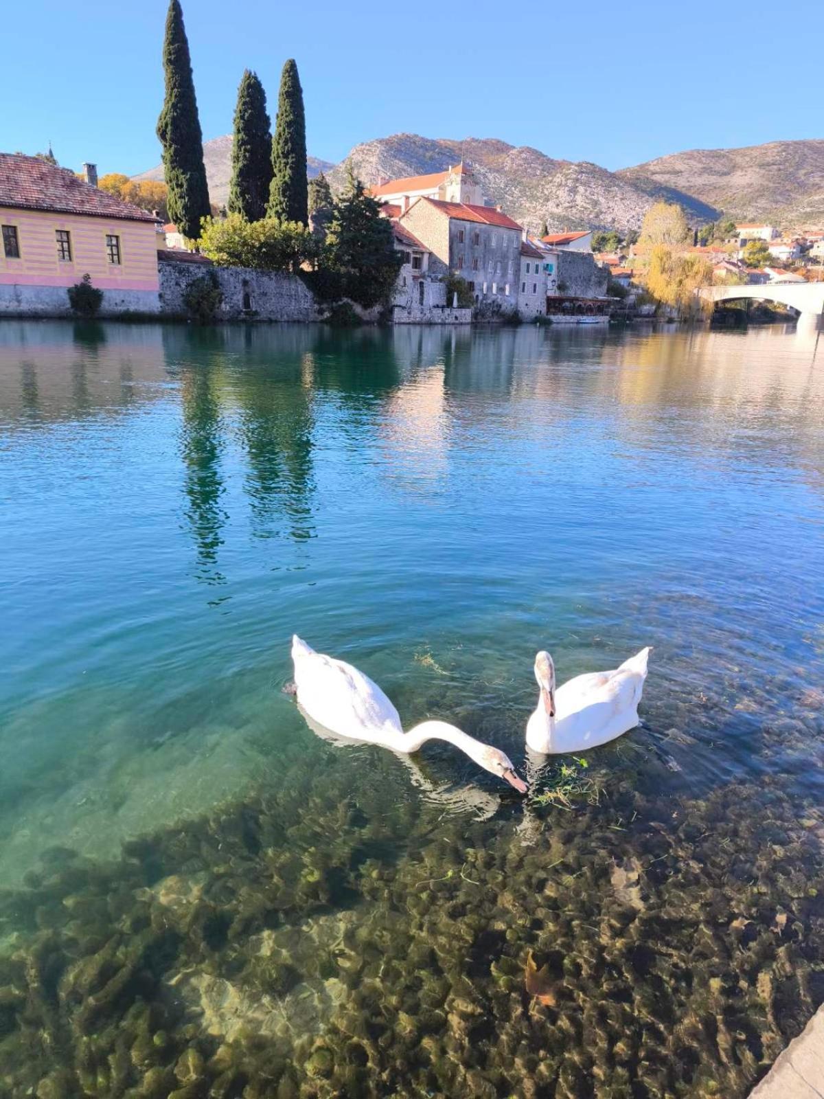 Marija * Trebinje
